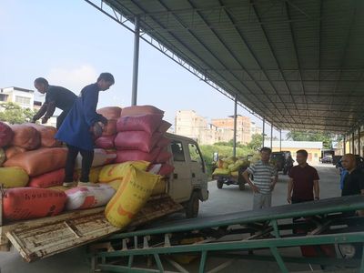 縣發(fā)改局強(qiáng)化夏糧收購監(jiān)管與服務(wù)，筑牢糧食市場秩序與安全保障